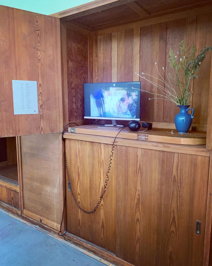 Photo of the exhibition:
Wooden cabinet, Monitor with film, flowers in Floral vase, headphone